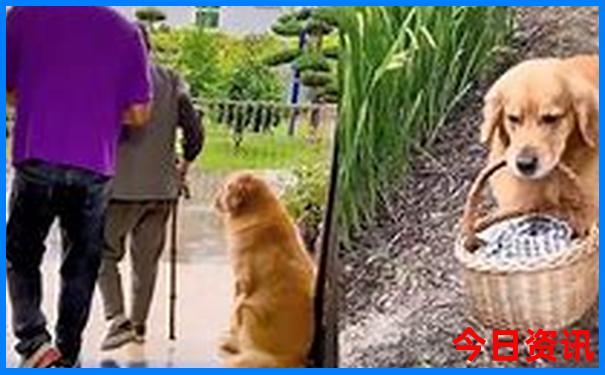 全网热议澳门全新体验管家婆指南100全新指南准确-2025澳门六今晚开奖记录